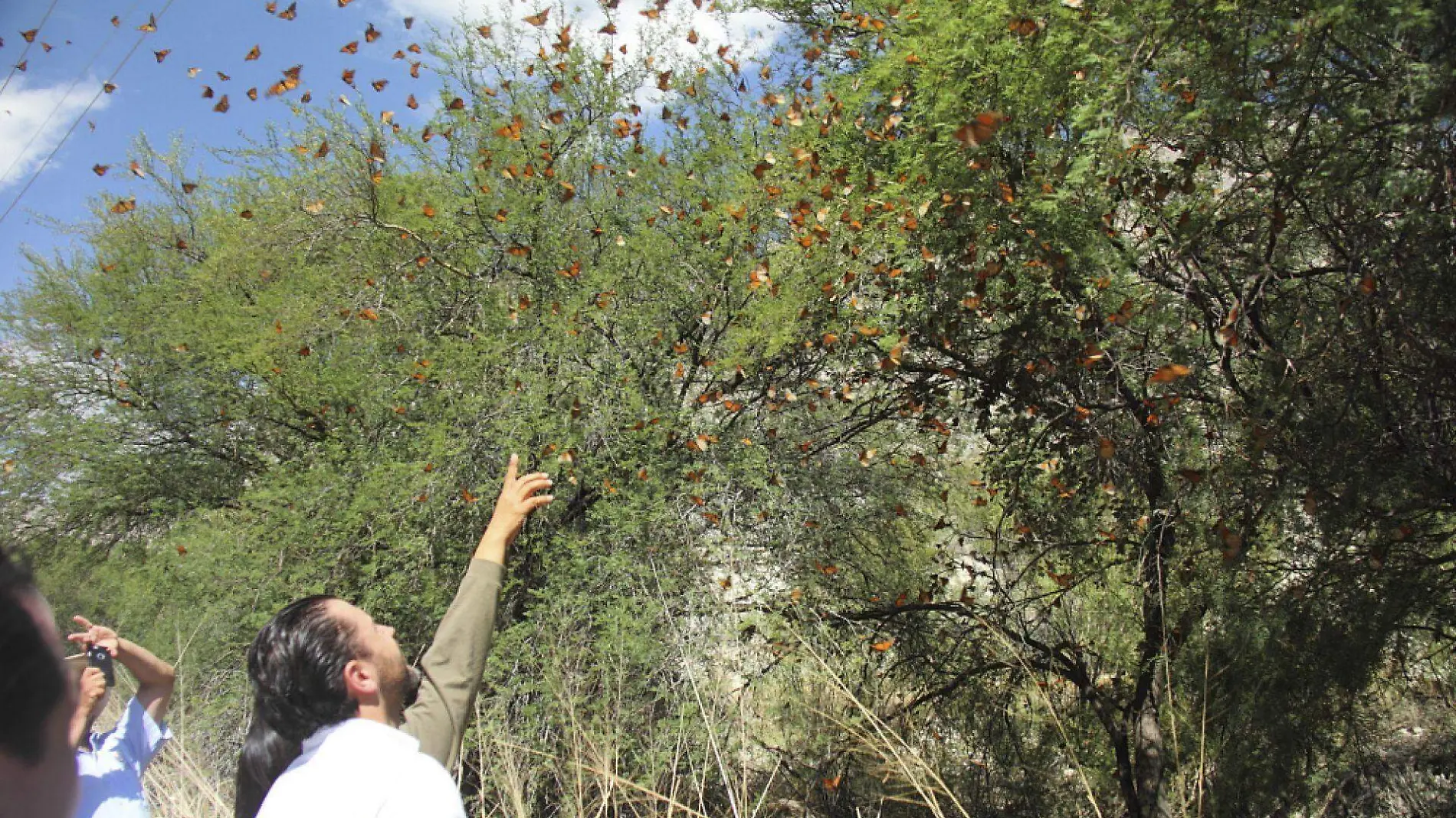 conservación de la biodiversidad mexicana